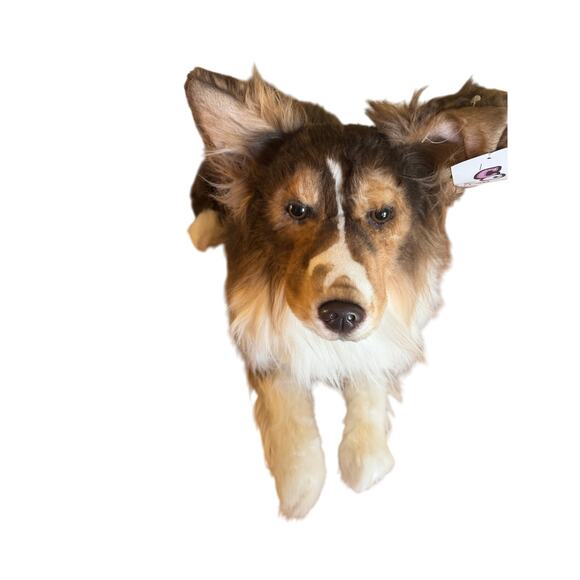 Cuddle Clones Shetland Sheepdog| SHELTIE| REALISTIC HANDCRAFTED| Plush 26" - Picture 4 of 15